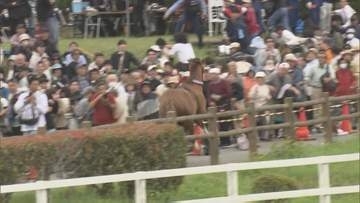「倒されてそのまま馬乗りに…」相馬野馬追で馬が脱走、6人けが　市長「改善策を検討」福島・南相馬市