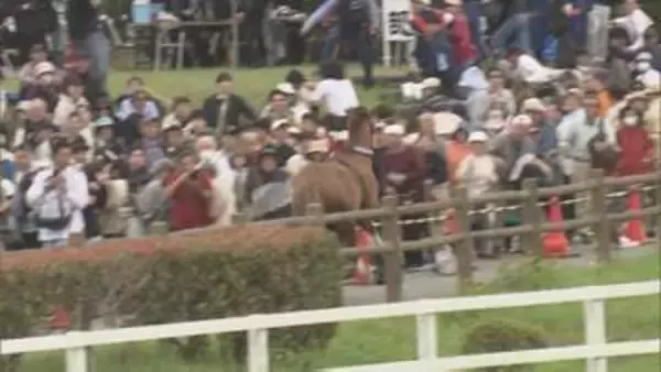 「倒されてそのまま馬乗りに…」相馬野馬追で馬が脱走、6人けが　市長「改善策を検討」福島・南相馬市