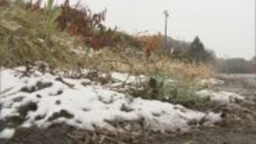 「降ると思っていなかったのでびっくり」寒波襲来で気温急降下　会津では積雪も　福島