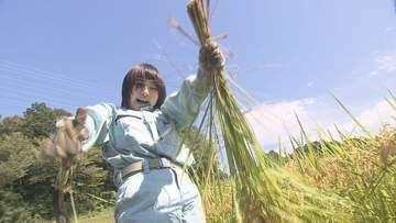 あばれる君と箭内夢菜さんがサプライズ登場！高校生が稲刈り体験　福島・いわき市