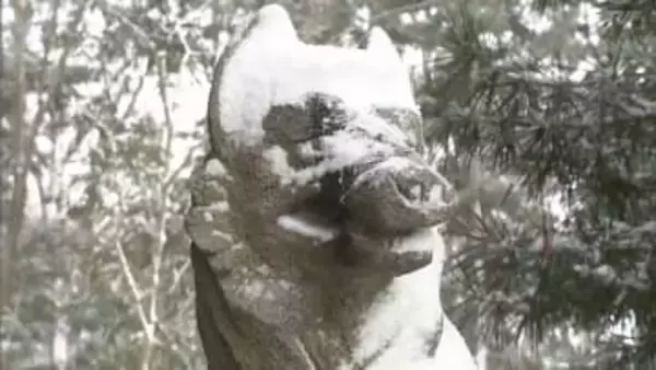 「復活させたい」住民の願い実現…山津見神社の例大祭、震災前の規模で15年ぶり復活　福島・飯舘村