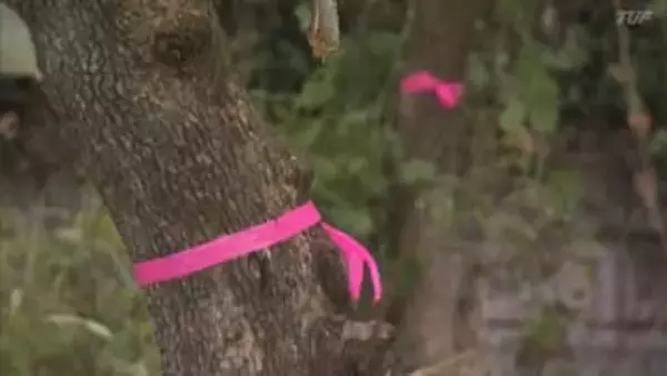 カキやクリの木伐採も…相次ぐクマ被害　専門家が対策指導　福島