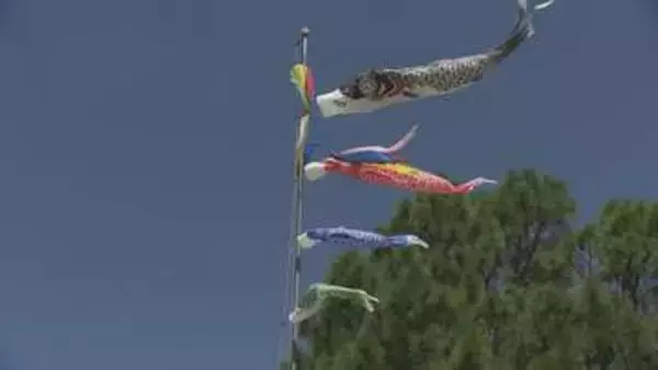 「屋根より高いこいのぼり♪」こどもの日前に、小学校で掲揚式　福島市