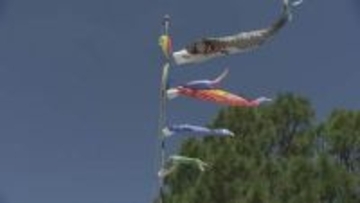 「屋根より高いこいのぼり♪」こどもの日前に、小学校で掲揚式　福島市