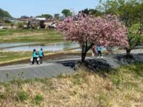 サクラ咲く久慈川沿いを清掃　福島県塙町で「アクアクリーンキャンプ」実施
