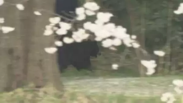 “おいしい思いをした”クマが再び人里へ…4～6月は例年より注意「冬眠明けは非常にお腹が空いている」専門家が警鐘　福島