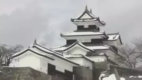 冬に逆戻り…県南では記録的大雪　倒木で新幹線運転見合わせ、3万人以上に影響　福島