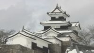 冬に逆戻り…県南では記録的大雪　倒木で新幹線運転見合わせ、3万人以上に影響　福島