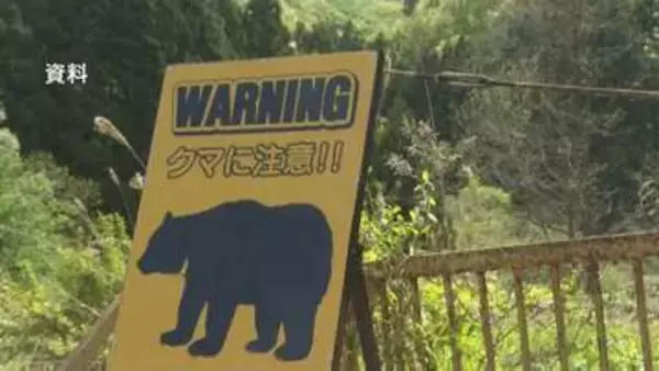 「【クマ出没情報】竹やぶに入るクマのような動物目撃　福島・郡山市富田町　1日午後1時ごろ」の画像