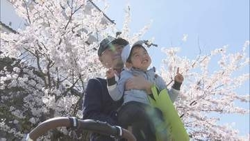 「きれいだね」鶴ヶ城公園のサクラ満開　ソフトクリームも売れ行き上々　福島・会津若松市