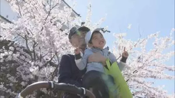 「きれいだね」鶴ヶ城公園のサクラ満開　ソフトクリームも売れ行き上々　福島・会津若松市