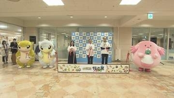 「来た甲斐があった」12道県の推しポケモンとコラボ商品ずらり　ポケモンローカルAct物産展　福島・郡山市