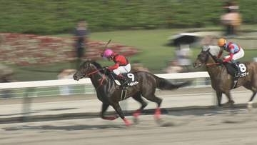 夏の福島競馬　白熱のメインレース　TUF杯