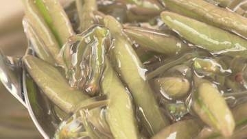 つるっとした食感が特徴！福島県北塩原村でジュンサイの摘み取り体験