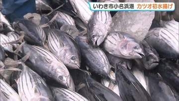「やっと持って来られてほっと…」小名浜港でカツオ初水揚げ　原油高など影響、1か月遅く　福島・いわき市