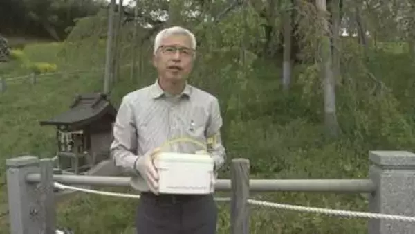 長寿の秘訣は？樹齢1000年超の三春滝桜　遺伝子解析へサンプリング採取　福島