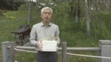 長寿の秘訣は？樹齢1000年超の三春滝桜　遺伝子解析へサンプリング採取　福島