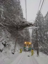 【交通情報】富山地鉄「倒木」で一部運休 代行バス運行 立山線は最大20分程度の遅れ【県内10市町に大雪警報】