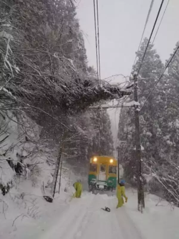 【交通情報】富山地鉄「倒木」で一部運休 代行バス運行 立山線は最大20分程度の遅れ【県内10市町に大雪警報】