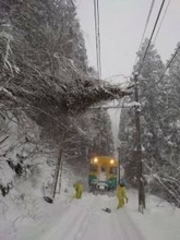 【交通情報】富山地鉄「倒木」で一部運休 代行バス運行 立山線は最大20分程度の遅れ【県内10市町に大雪警報】