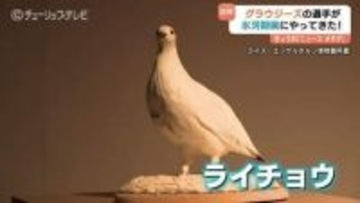 グラウジーズの泉登翔＆田中晴瑛が氷河期展にやってきた！ライチョウと対面？試合とは違った表情 富山