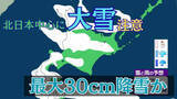 「北日本中心に降雪強まる予想　大雪のおそれも　12日夕方までに北海道で最大30cm降雪か　多雪地では雪崩に注意【雪と雨のシミュレーション】」の画像1