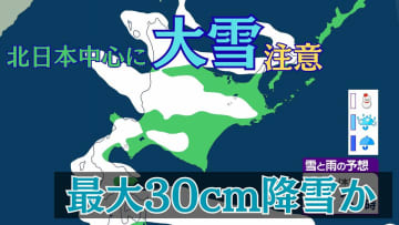 北日本中心に降雪強まる予想　大雪のおそれも　12日夕方までに北海道で最大30cm降雪か　多雪地では雪崩に注意【雪と雨のシミュレーション】