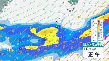 沖縄地方　11日にかけ“警報級”大雨のおそれ　9日は最大で1時間40mm予想　土砂災害や河川の増水に注意【雨風のシミュレーション】