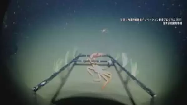 新湊沖の一部でベニズワイガニ激減か…地震による海底地すべり　富山湾の海底調査結果を報告