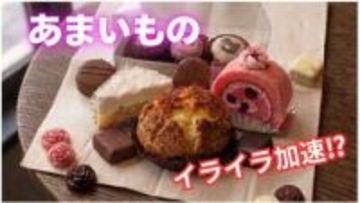 “疲れたら甘いもの”がイライラを加速？ 医師が指摘する「脳の落とし穴」と、メンタルを壊さない“おやつの心得”