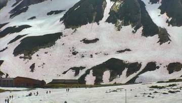 残雪が”血のように”赤い！？　立山・室堂の広範囲で「赤雪」　極小の藻類が繁殖　地球温暖化の警鐘も　富山