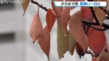 きょうも雨で日中肌寒く　富山で19℃予想　10市町にレベル２土砂災害注意報　富山