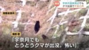 クマ出没相次ぐ 富山を代表する温泉街周辺に2頭のクマ...動画撮影者「とうとうクマ出没 怖い」富山県・黒部市