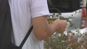 富山で統計開始以来「最も遅い真夏日」観測、秋ケ島31.7℃など県内半数で30℃超　季節外れの猛暑から一転、夜は警報級大雨のおそれ