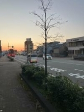 【続報】「歩行者と衝突した」国道で女性が大型トラックにはねられ意識不明　富山