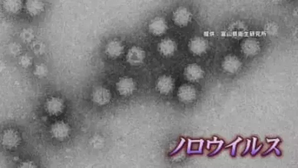 ノロウイルス食中毒警報【富山県】アルコール消毒は効果なし！【警戒】本日（24日）から2週間（3月9日まで）厳重警戒