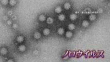 ノロウイルス食中毒警報【富山県】アルコール消毒は効果なし！【警戒】本日（24日）から2週間（3月9日まで）厳重警戒