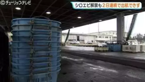 富山湾の宝石「シロエビ漁」解禁も2日連続の休漁　新湊漁港は悪天候でしけ、回復傾向の今シーズンに期待高まる　富山・射水市