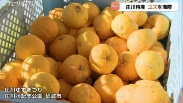 「やや大粒で香り上々」庄川ゆずまつりで旬のユズ堪能 加工品・ご当地料理も人気 富山