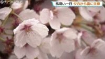 花散らしの雨の富山県内　未明に最高気温その後は下降　肌寒い一日に　夜は雷に注意　富山