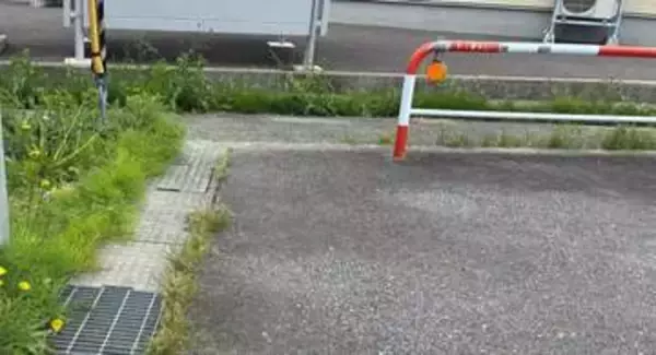 【速報】緊急銃猟でクマ駆除　現場から北に200メートルの茂み　散歩中の40代女性 顔、頭、首に引っかき傷の人身被害　富山