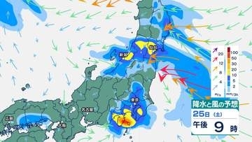 【大雨警戒】関東甲信 きょう25日(土)午後は雷雨の恐れ 南部で1時間40ミリ 低地の浸水・河川増水・落雷・ひょうに注意【降水と風のシミュレーション】