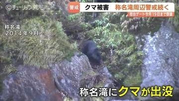 称名滝でクマ被害相次ぐ…遊歩道は19日まで通行止め【過去の出没映像も】町職員と猟友会らが現場周辺を捜索 警戒続く 富山・立山町
