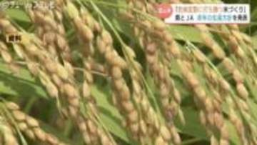 “気候変動に打ち勝つ”コメ作りへ…「富富富」「てんたかく」作付け割合を30%以上に　2026年の生産方針　富山