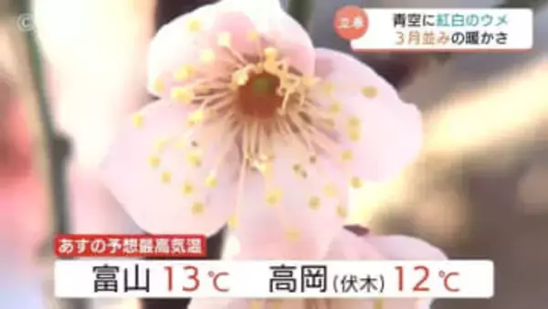 春の足音！立春の4日は3月並みの暖かさ　早咲きの梅が見頃、雪景色を彩る紅白の花々とメジロの共演も　5日はさらに気温上昇13℃の予想　富山