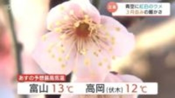 春の足音！立春の4日は3月並みの暖かさ　早咲きの梅が見頃、雪景色を彩る紅白の花々とメジロの共演も　5日はさらに気温上昇13℃の予想　富山