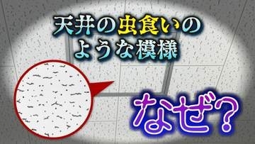 なぜ学校の天井は「虫食いのような模様」なの？半世紀以上も日本の建築を支える “ジプトーン” 奇妙な「点」に隠された機能性とは