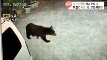 「ペットボトルの音、クマが嫌う訳じゃない…」専門家が指摘　文科省通知内容にネットも反応、富山では10月の人身被害3件