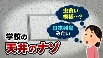 「虫食いみたい」「日本列島に見える」全国の学校にある “ボコボコとした天井” なぜ、こんな独特な模様なの？建材に隠されたメリットを調査
