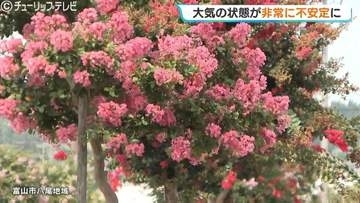 朝の晴天から一転…富山県内は昼過ぎから大雨に注意、1時間40ミリの激しい雨のおそれ　21日正午までに80ミリ予想で土砂災害に警戒